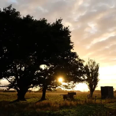 Three Oaks Organic Farm at sunset